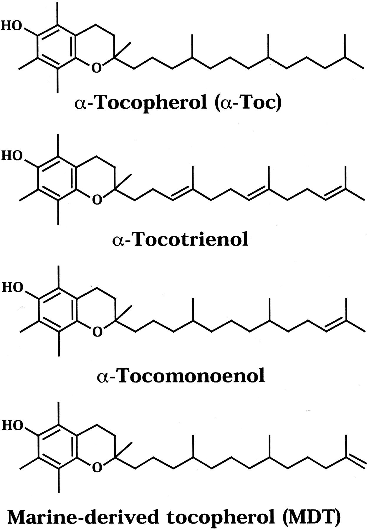 Vitamin E Facts You Need to Know