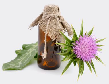 Milk Thistle: Nature’s Detox Plant
