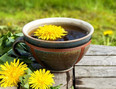 9 Edible, Healthy Foods You Were Told Not to Eat & Their Benefits