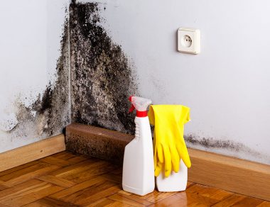 Black Mold: 4 Signs It’s In Your Home & How to Get Rid of It