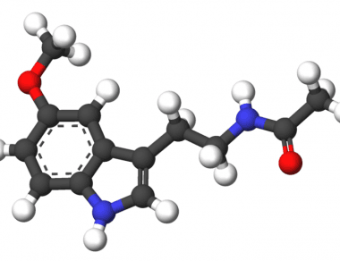 Supplements to Consider Taking if you are Paleo (Part Two)