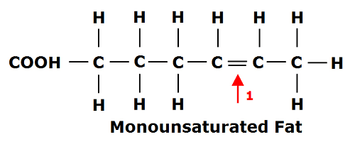 Cooking Oil Chemical Structure