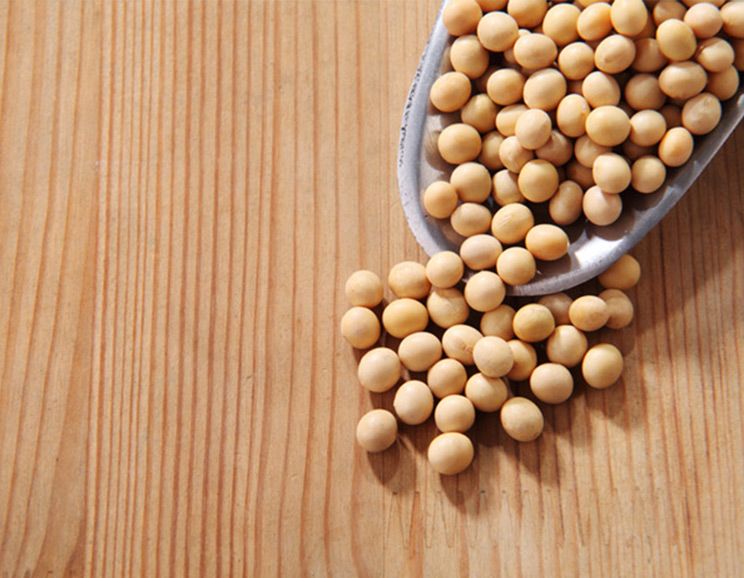 101 Paleo Diet Hacks for Both Newbies and Paleo Veterans