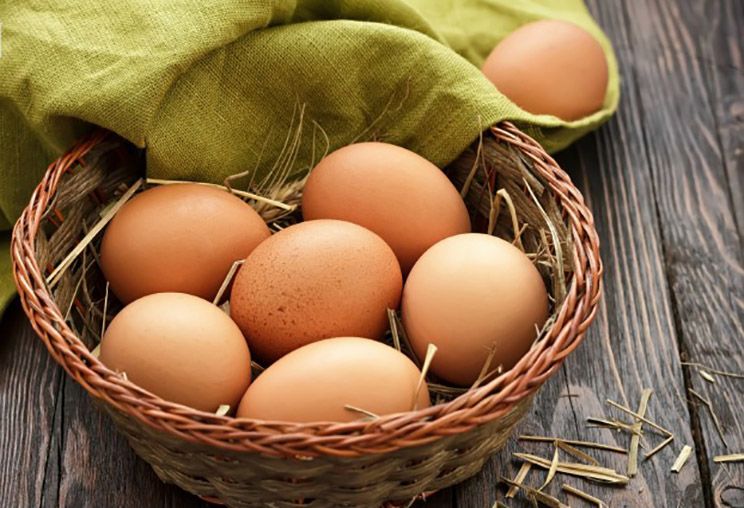 9 Incredible Foods That Will Help Boost Metabolism