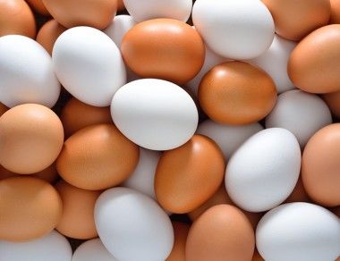 The Real Difference Between Brown Eggs vs White Eggs
