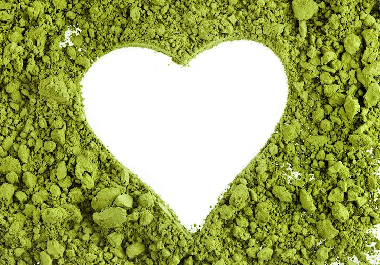 Hemp Protein Benefits and How to Choose The Best Powder