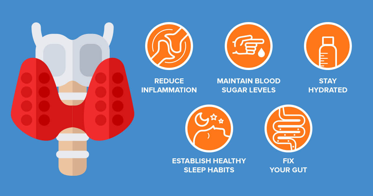14 day fat burn cleanse applied nutrition review image 2