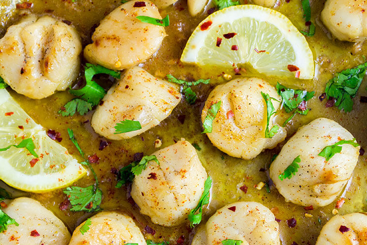 Seared Scallops Recipe with Lemon Garlic Butter Sauce