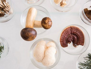 4 Natural Health Benefits of Medicinal Mushrooms and How to Use Them
