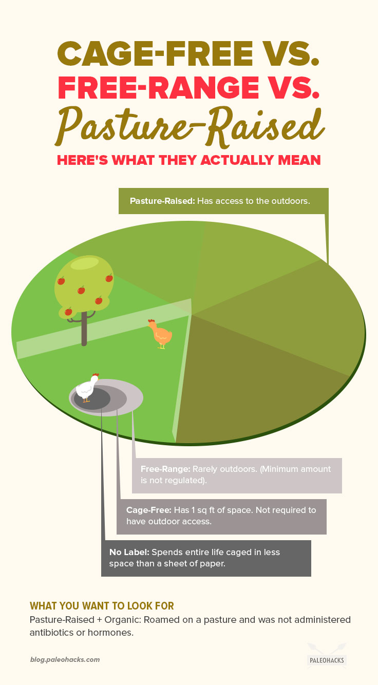 CageFree vs. FreeRange vs. PastureRaised Here's What It All Means