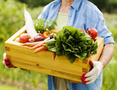 Organic vs. Conventional Food: Here’s The Real Difference