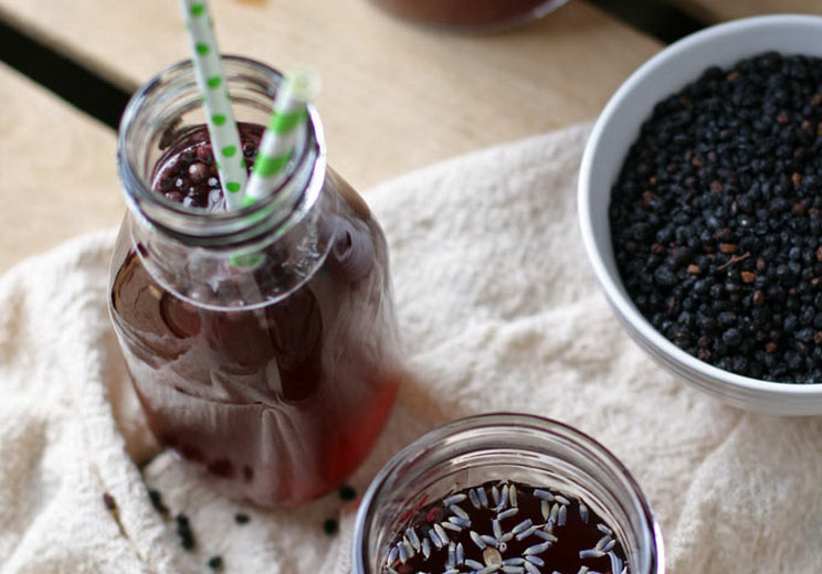 Homemade-Elderberry-Kombucha.jpg