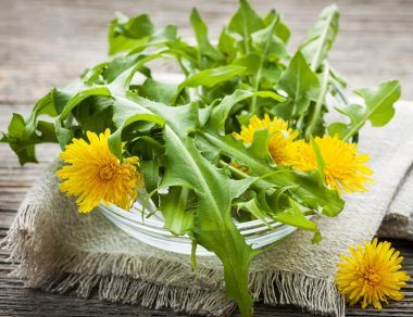 10 Powerful Tonics to Heal Your Thyroid
