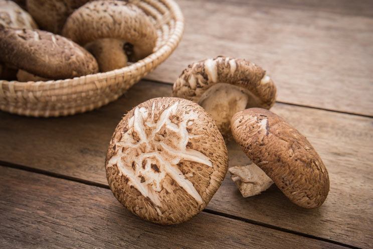 Shiitake-Mushrooms.jpg