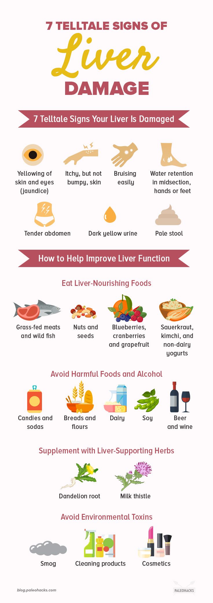 Signs of liver problems from alcohol recommend Signs of liver problems from alcohol advise
