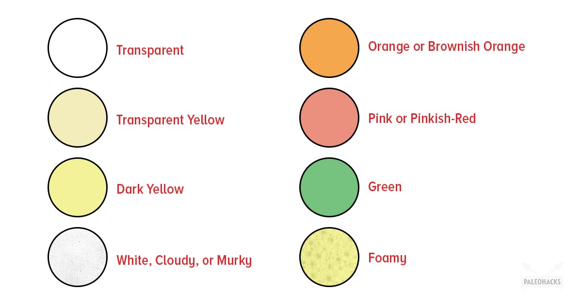What The Color of Your Urine Says About Your Health PaleoHacks Blog