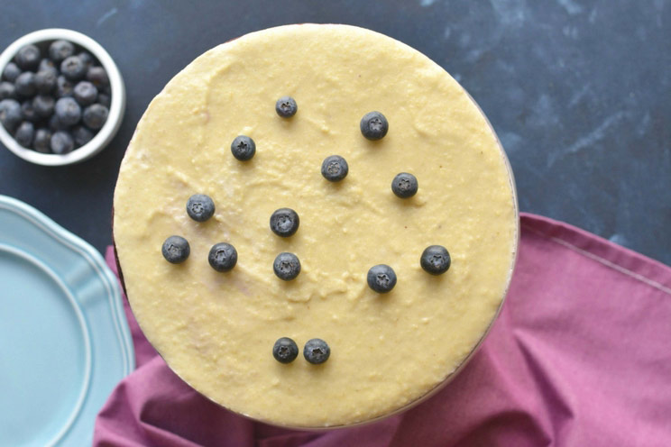 SCHEMA-PHOTO-Antioxidant-Rich-Blueberry-Cheesecake.jpg