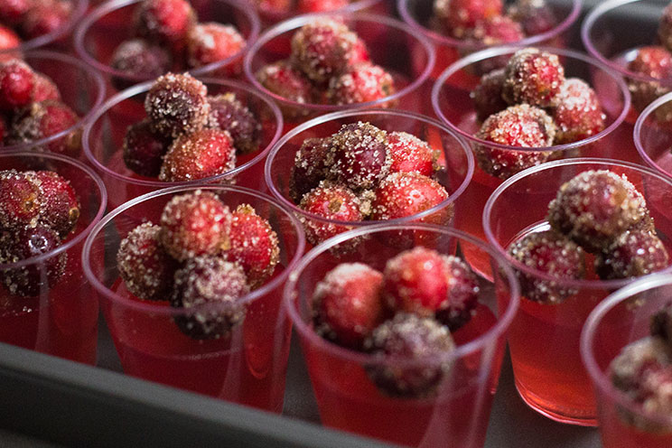 SCHEMA-PHOTO-Cranberry-Jello-Shots.jpg