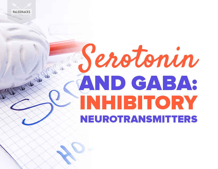 Serotonin and GABA Inhibitory Neurotransmitters Health