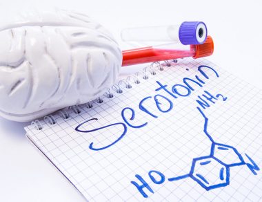 Serotonin and GABA: Inhibitory Neurotransmitters