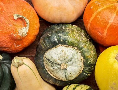 The Easy Guide to Winter Squash: How to Choose, Store & Cook Your Squash